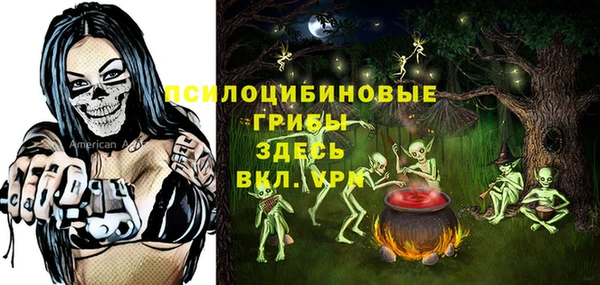 бошки Касимов